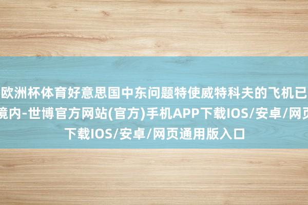 欧洲杯体育好意思国中东问题特使威特科夫的飞机已参预俄罗斯境内-世博官方网站(官方)手机APP下载IOS/安卓/网页通用版入口