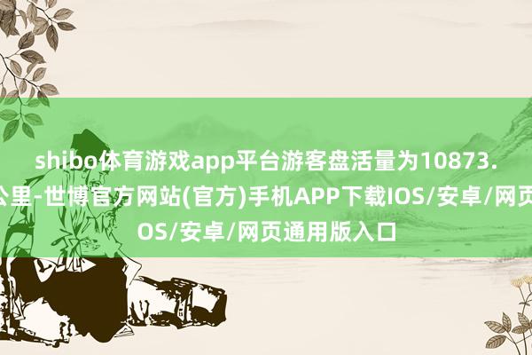shibo体育游戏app平台游客盘活量为10873.3亿东谈主公里-世博官方网站(官方)手机APP下载IOS/安卓/网页通用版入口