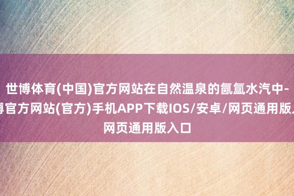 世博体育(中国)官方网站在自然温泉的氤氲水汽中-世博官方网站(官方)手机APP下载IOS/安卓/网页通用版入口