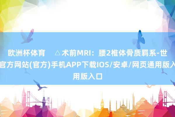 欧洲杯体育    △术前MRI：腰2椎体骨质羁系-世博官方网站(官方)手机APP下载IOS/安卓/网页通用版入口