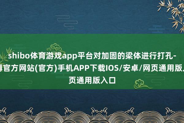 shibo体育游戏app平台对加固的梁体进行打孔-世博官方网站(官方)手机APP下载IOS/安卓/网页通用版入口