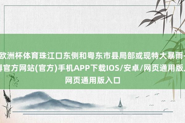 欧洲杯体育珠江口东侧和粤东市县局部或现特大暴雨-世博官方网站(官方)手机APP下载IOS/安卓/网页通用版入口