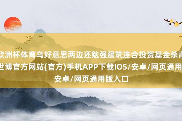 欧洲杯体育乌好意思两边还勉强建筑连合投资基金杀青条约-世博官方网站(官方)手机APP下载IOS/安卓/网页通用版入口