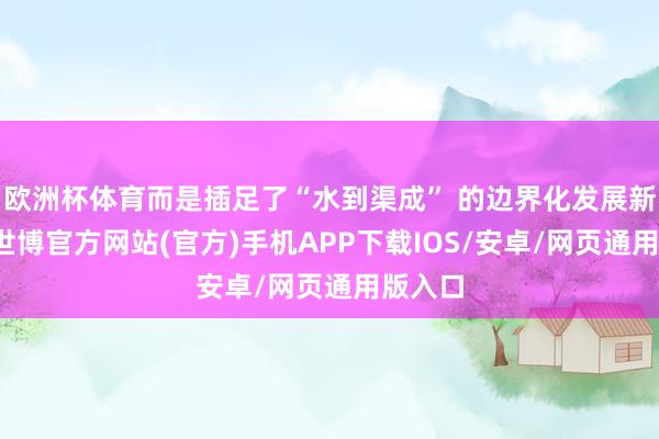 欧洲杯体育而是插足了“水到渠成” 的边界化发展新阶段-世博官方网站(官方)手机APP下载IOS/安卓/网页通用版入口