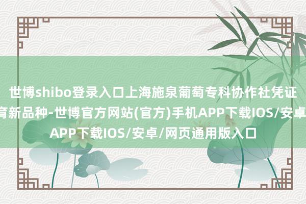 世博shibo登录入口上海施泉葡萄专科协作社凭证阛阓响应不停选育新品种-世博官方网站(官方)手机APP下载IOS/安卓/网页通用版入口
