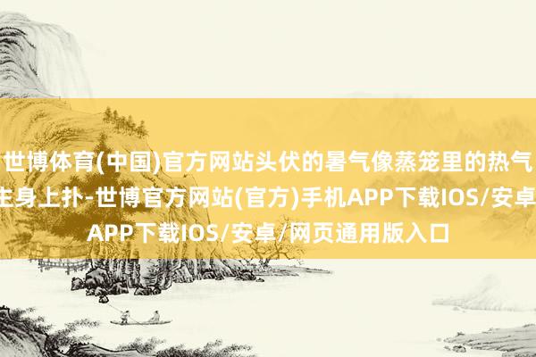 世博体育(中国)官方网站头伏的暑气像蒸笼里的热气似的直往东说念主身上扑-世博官方网站(官方)手机APP下载IOS/安卓/网页通用版入口