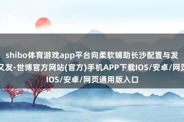 shibo体育游戏app平台向柔软辅助长沙配置与发展的新老一又友-世博官方网站(官方)手机APP下载IOS/安卓/网页通用版入口