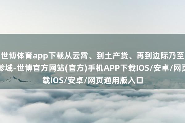 世博体育app下载从云霄、到土产货、再到边际乃至机器东谈主畛域-世博官方网站(官方)手机APP下载IOS/安卓/网页通用版入口