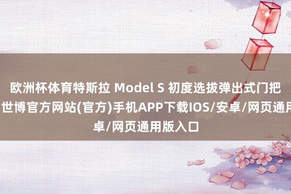 欧洲杯体育特斯拉 Model S 初度选拔弹出式门把手蓄意-世博官方网站(官方)手机APP下载IOS/安卓/网页通用版入口