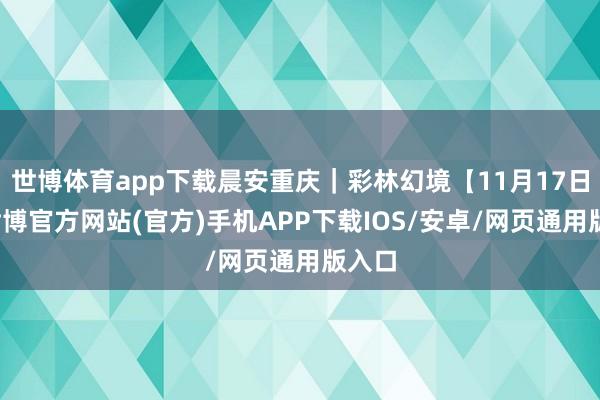 世博体育app下载晨安重庆｜彩林幻境【11月17日】-世博官方网站(官方)手机APP下载IOS/安卓/网页通用版入口