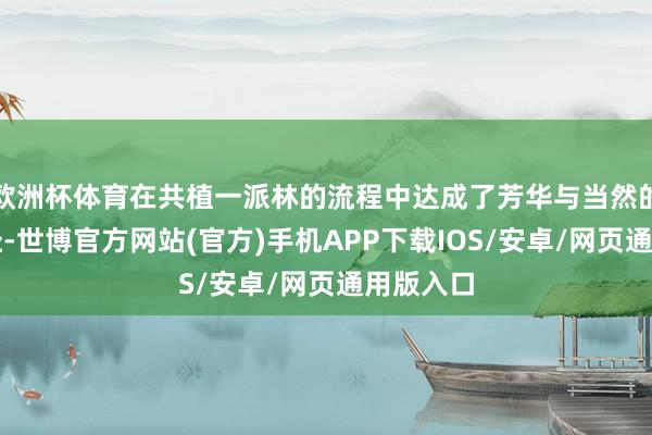 欧洲杯体育在共植一派林的流程中达成了芳华与当然的双向奔赴-世博官方网站(官方)手机APP下载IOS/安卓/网页通用版入口