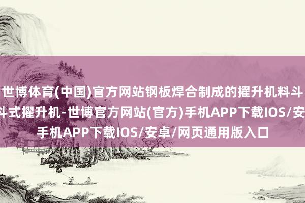 世博体育(中国)官方网站钢板焊合制成的擢升机料斗用于重力式卸料的斗式擢升机-世博官方网站(官方)手机APP下载IOS/安卓/网页通用版入口