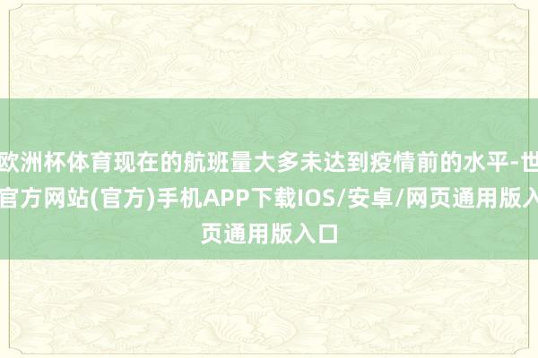 欧洲杯体育现在的航班量大多未达到疫情前的水平-世博官方网站(官方)手机APP下载IOS/安卓/网页通用版入口