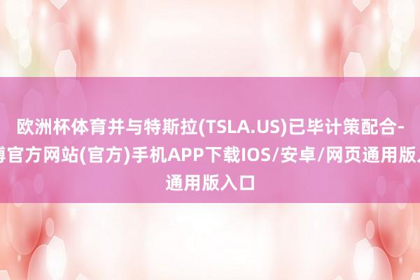 欧洲杯体育并与特斯拉(TSLA.US)已毕计策配合-世博官方网站(官方)手机APP下载IOS/安卓/网页通用版入口